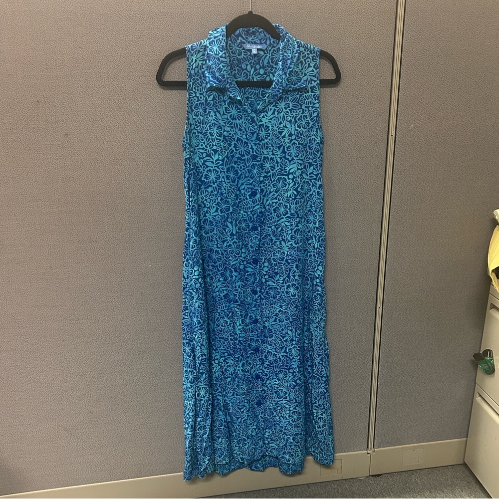 Blue Ginger Button Dress Xs